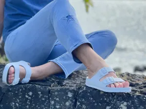 Plakton Hip disponible en 4 couleurs